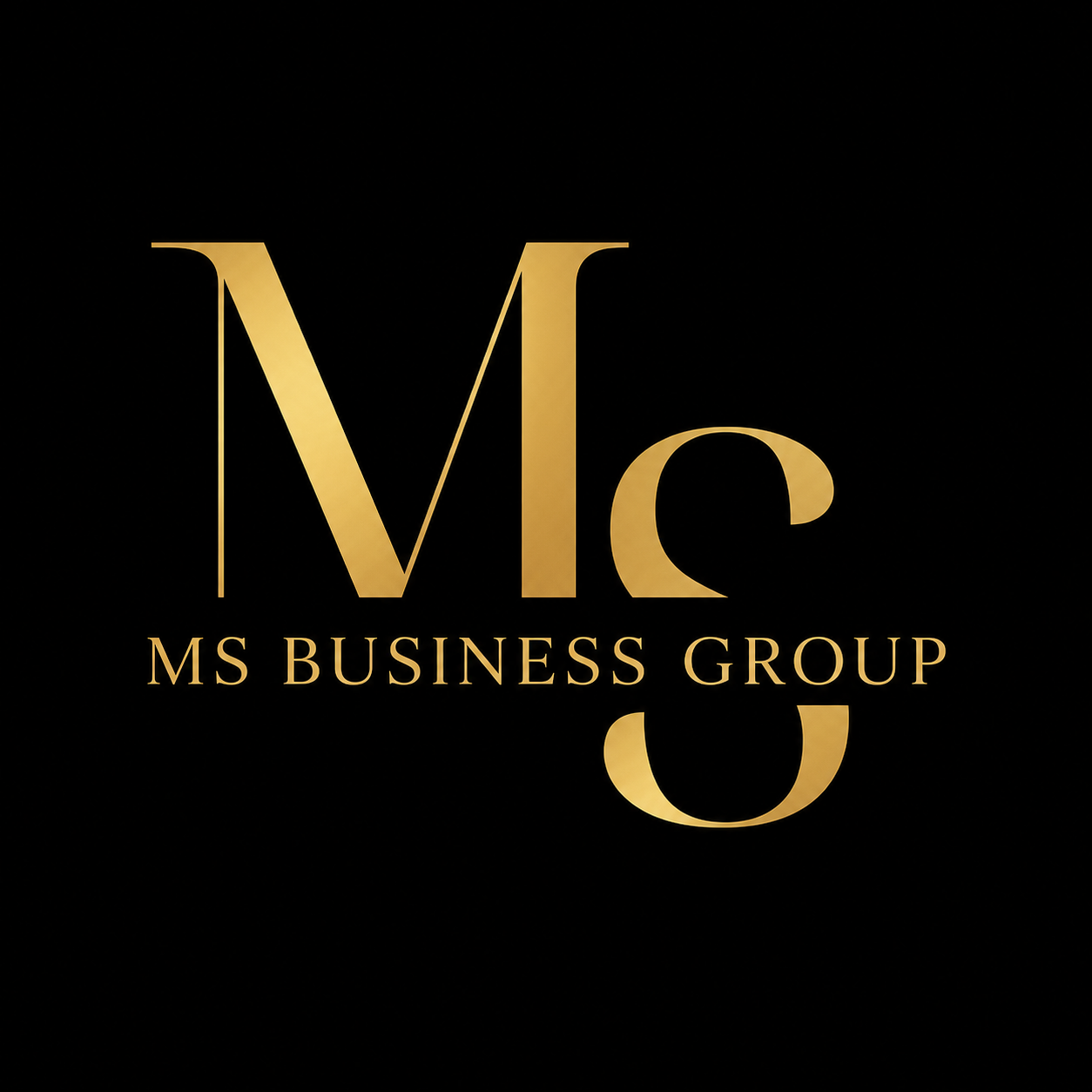 MS Business Group logo